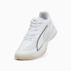 109017 44 Puma Accelerate Turbo 5